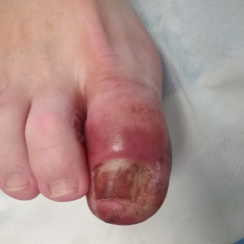 Małgorzata Felusiak, Krakow Фото - 5