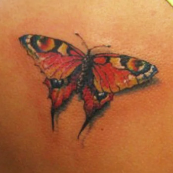 Дмитрий Орлов, Ust-Kamenogorsk Фото - 9