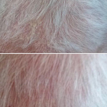 Мартина Наскрет, Познань Фото - 5