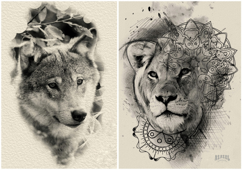 Wolf lion, photo - Tattoo Studio Azazel