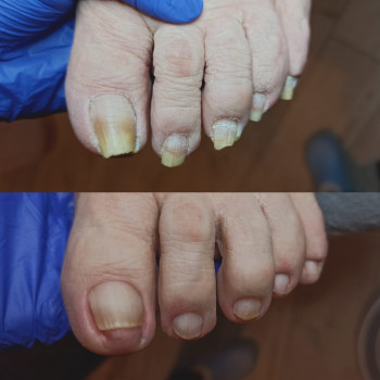 Pro Pes, Warsaw Фото - 5