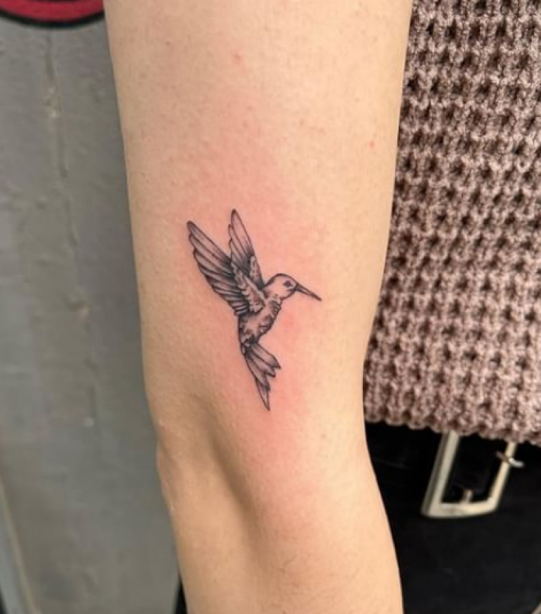 Women arm hummingbird, photo - Tattoo Studio NYC Tattoo Shop