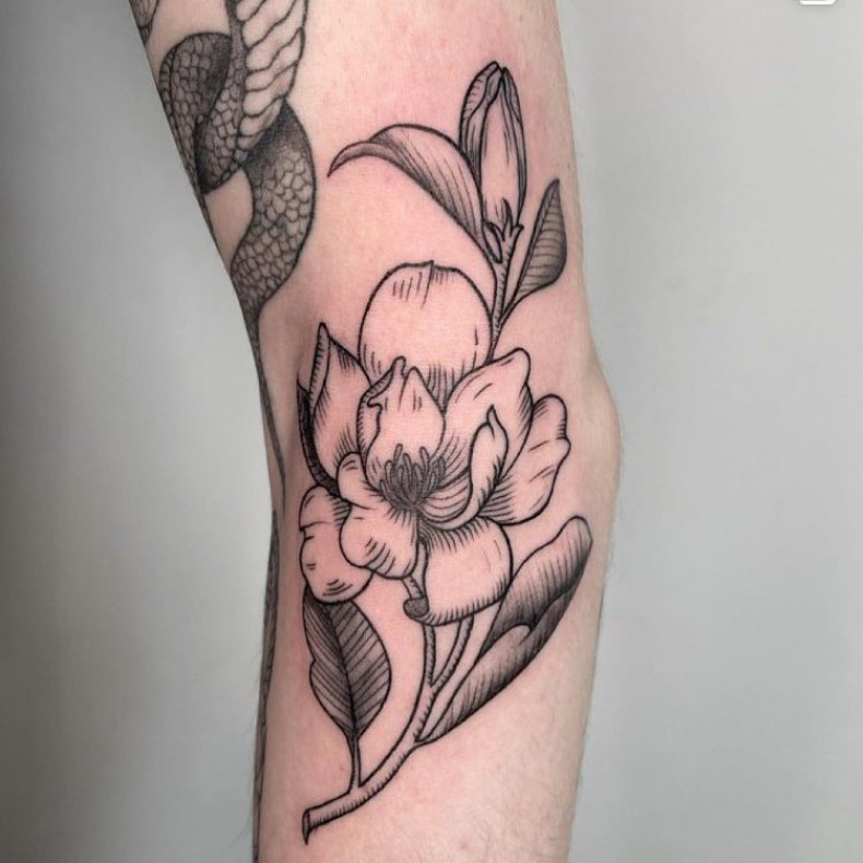 Women arm flower, photo - Tattoo Studio Art Ink Tattoo