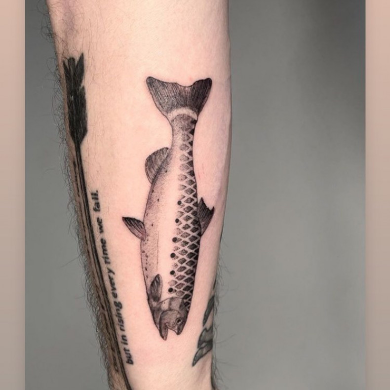 Arm fish, photo - Tattoo Studio Art Ink Tattoo