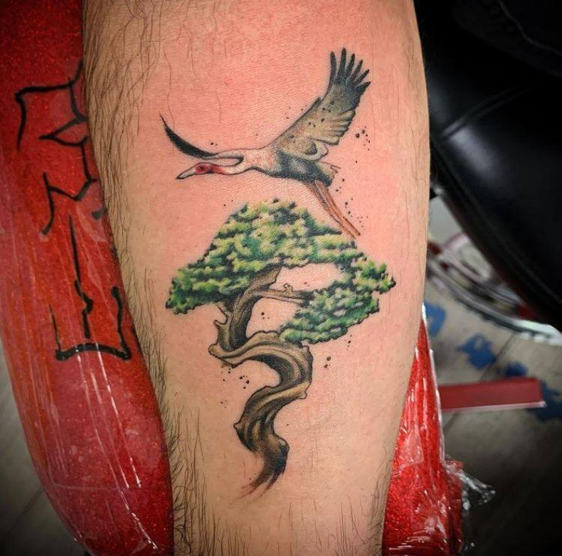 Stork tree leg, photo - Tattoo Studio Village Tattoo