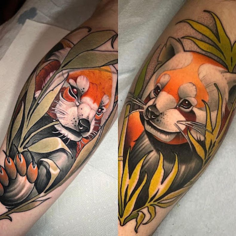 Raccoon colorful, photo - Tattoo Studio No Idols