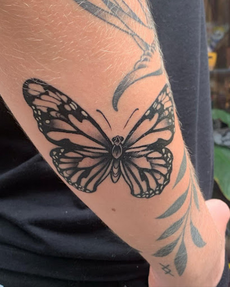 Women arm butterfly, photo - Tattoo Studio No Idols