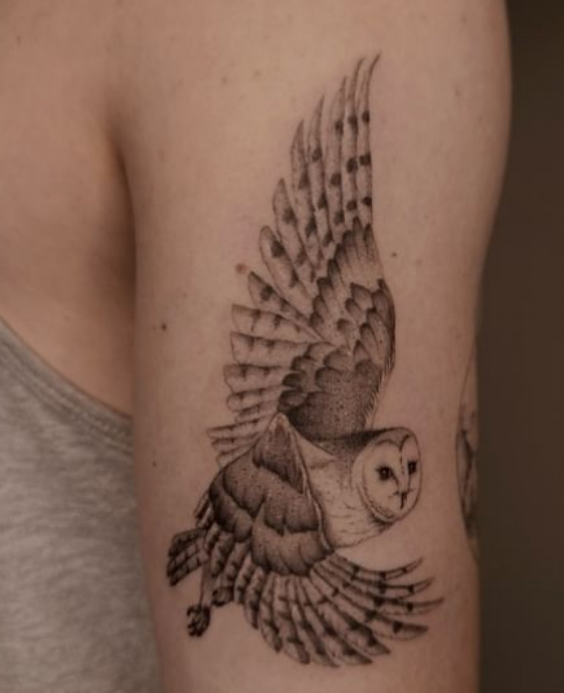 Women arm owl, photo - Tattoo Studio West 4 Tattoo