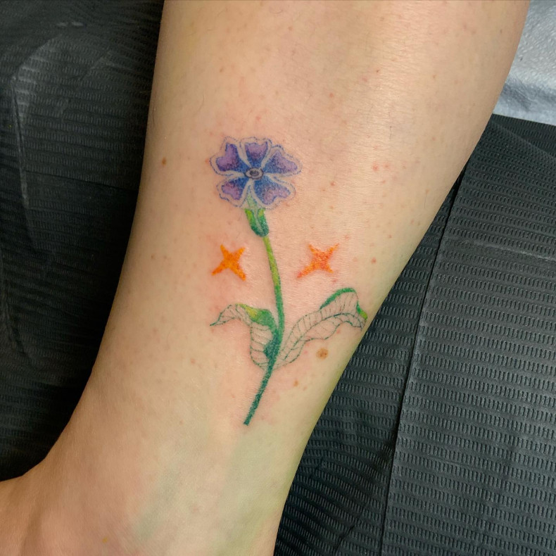 Women arm cornflower, photo - Tattoo Studio Cherry Bomb