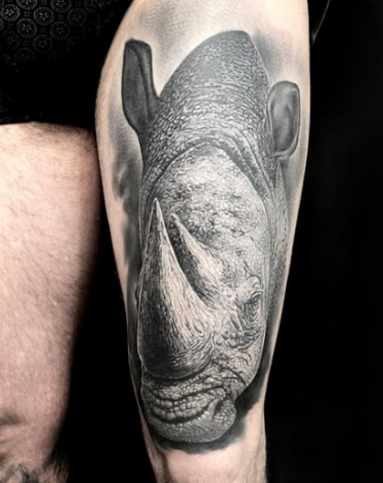 Men thigh rhinoceros, photo - Tattoo Master Igor