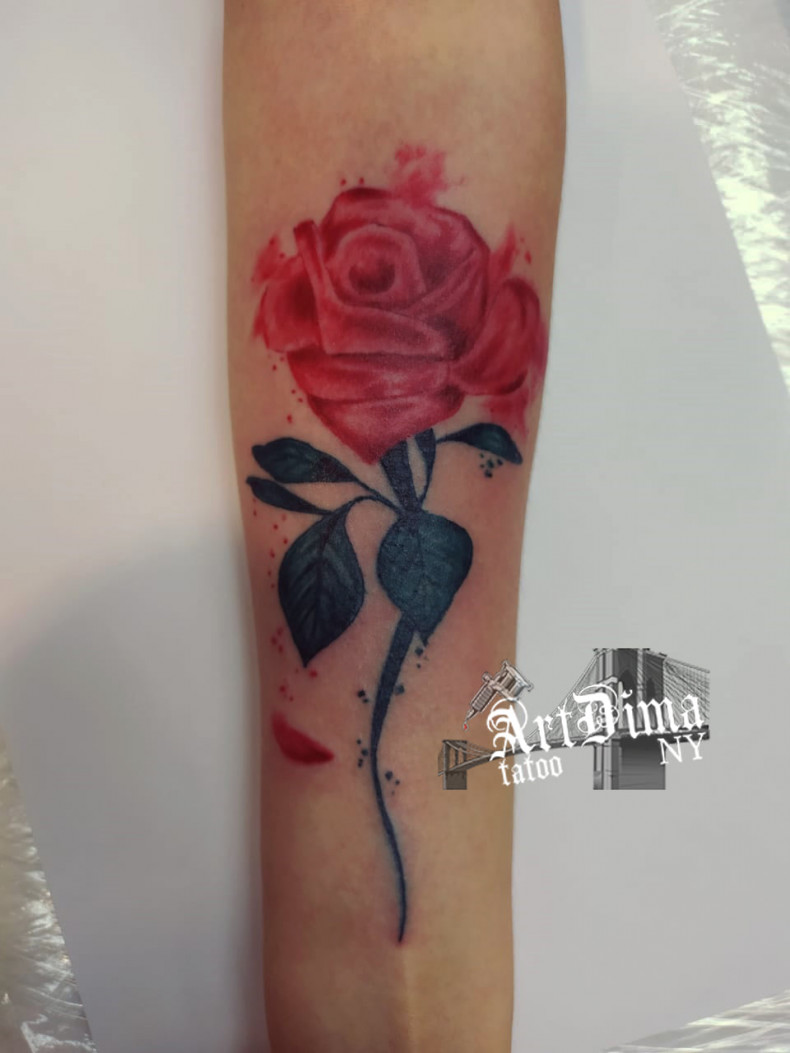 Watercolor rose colorful, photo - Tattoo Master Dmitry Maksimchuk