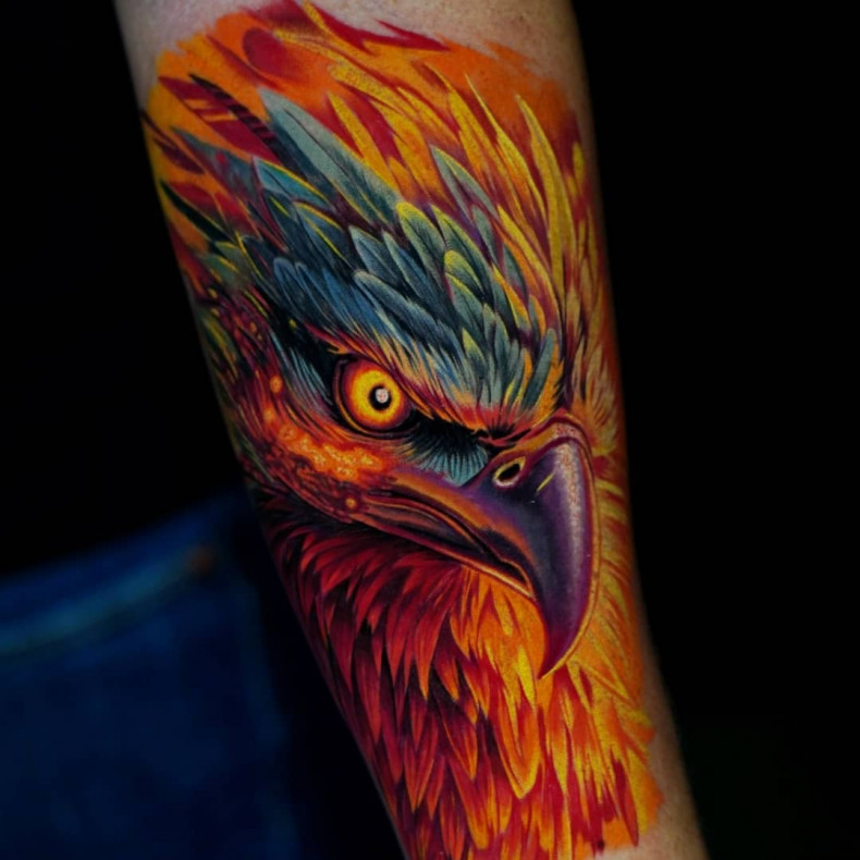 Arm phoenix colorful, photo - Tattoo Master Paul Aramayo