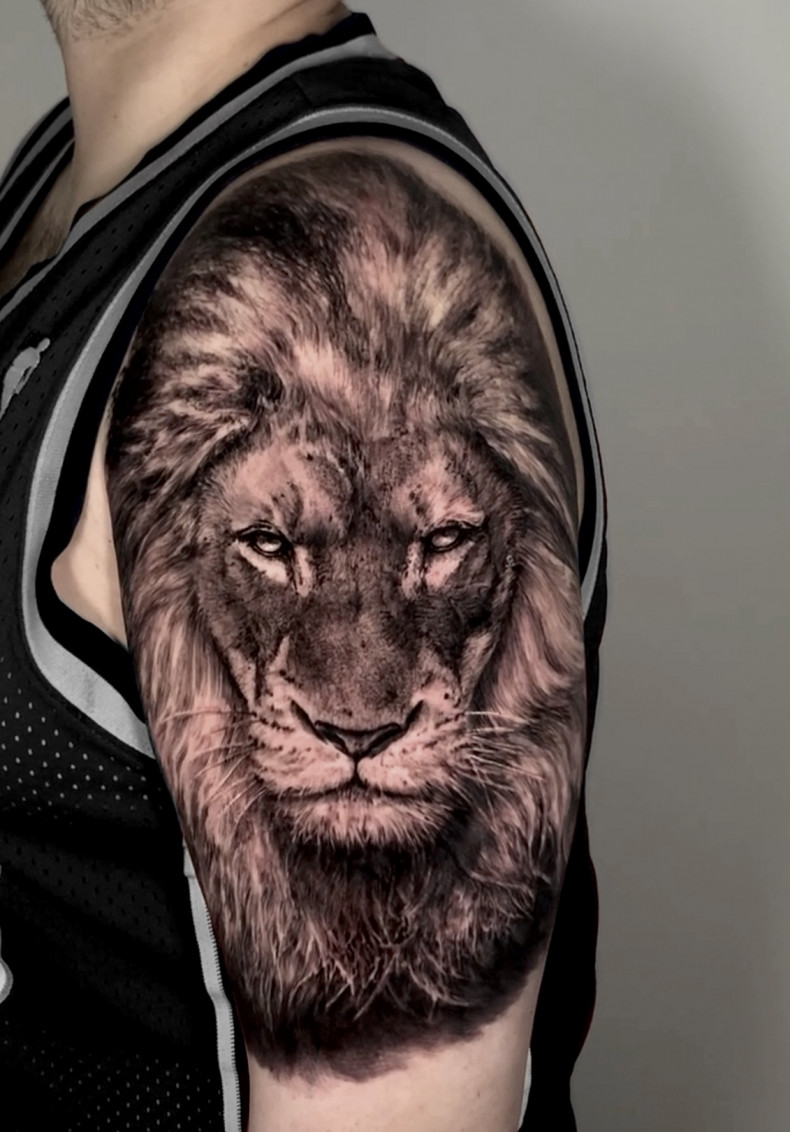 Men black and grey lion, photo - Tattoo Master Nestor Palacios