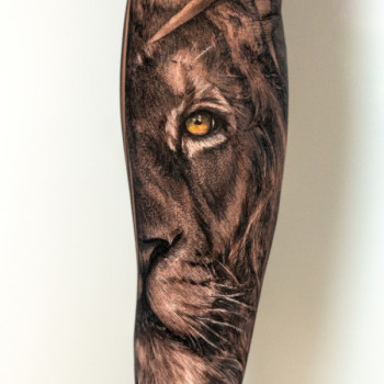 Нестор Паласиос, Нью-Йорк Фото - 5