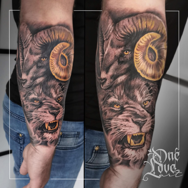 Men drum lion, photo - Tattoo Master Agnieszka