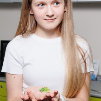 Adental, Novosibirsk Фото - 7