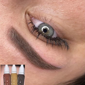 Пудровое напыление бровей на пигментах Biocolors