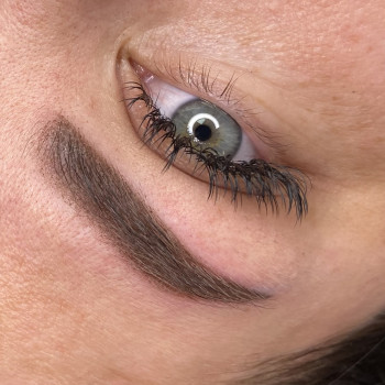 Пудровое напыление бровей