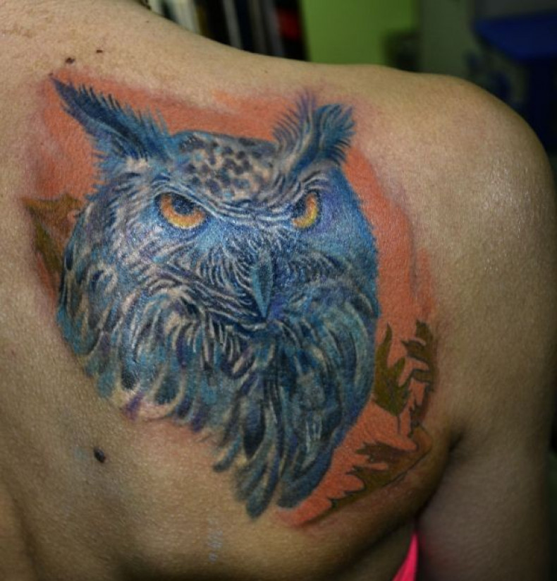 Men shoulder blade back, photo - Tattoo Master Barb Tattoo