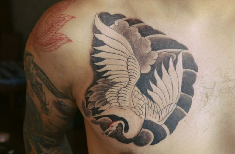 Men crane chest, photo - Tattoo Master Barb Tattoo