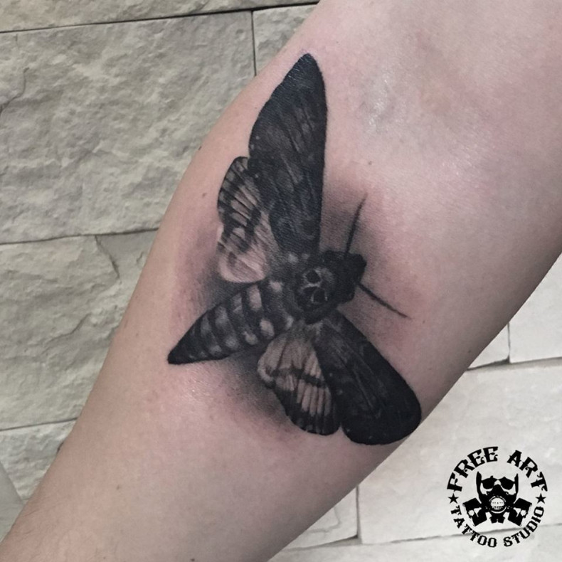 Men whip shading moth, photo - Tattoo Master Barb Tattoo