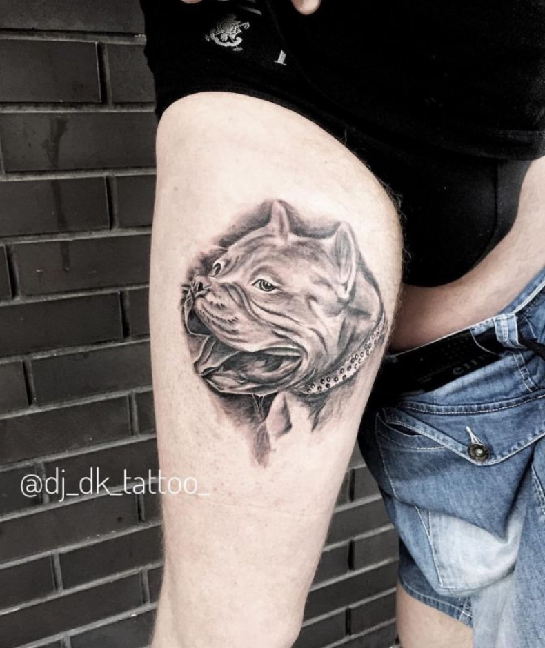 Męski buldog na nodze, photo - Tatuażysta Barb Tattoo