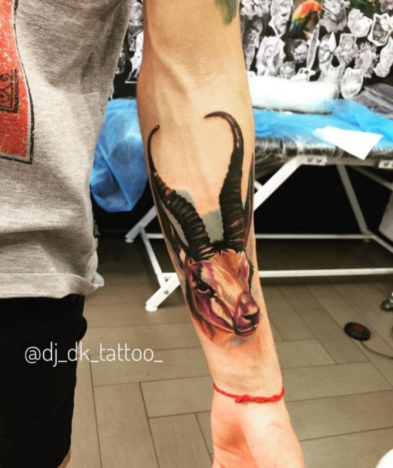 Męski na przedramieniu jeleń, photo - Tatuażysta Barb Tattoo