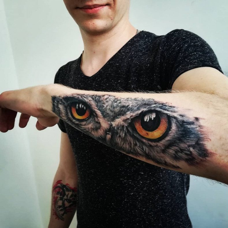 Owl. Realism. One and a half sessions of work. , photo - Tattoo Master Barb Tattoo