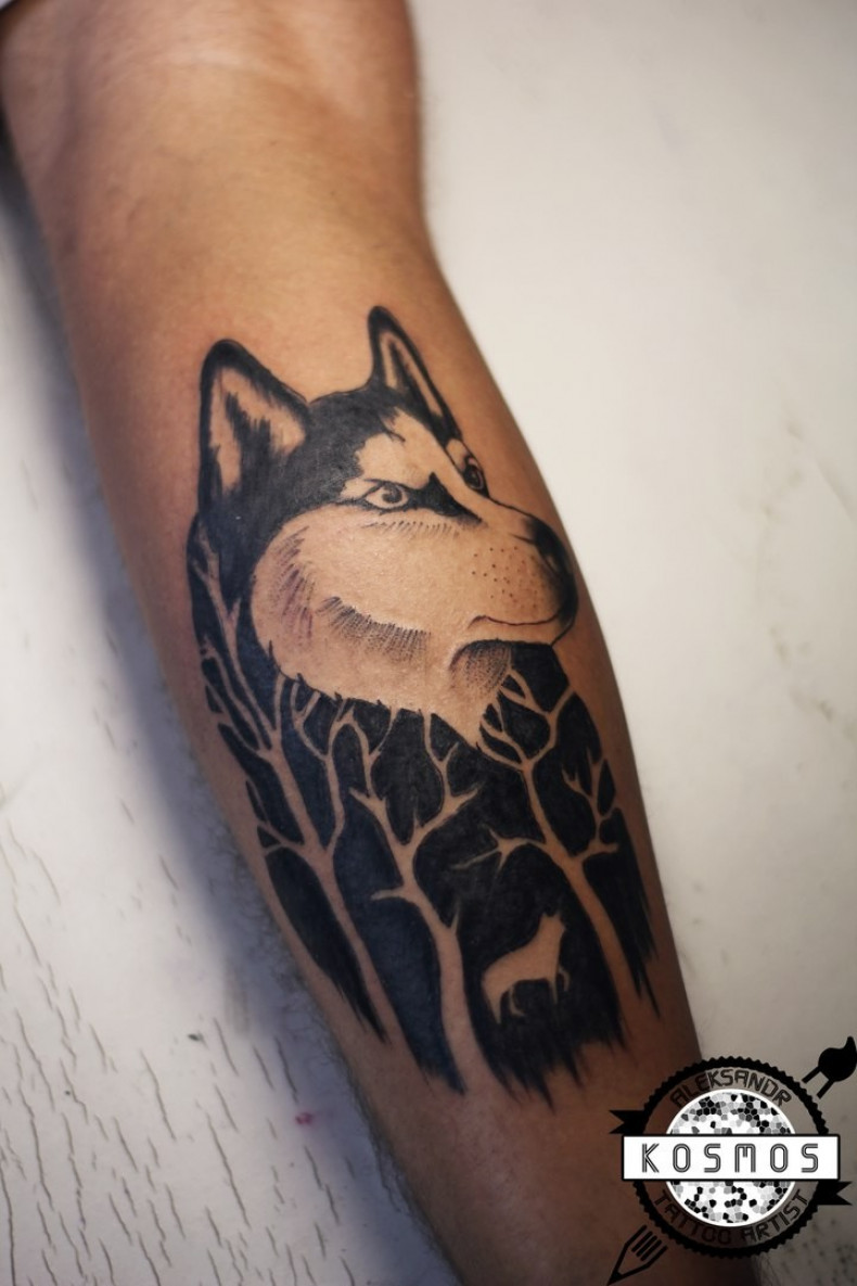 Męski wilk na ramieniu, photo - Tatuażysta Barb Tattoo