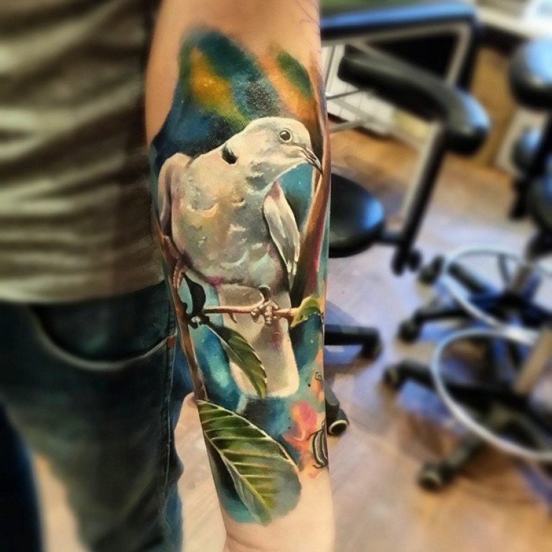 Męski akwarela gołąb, photo - Tatuażysta Barb Tattoo