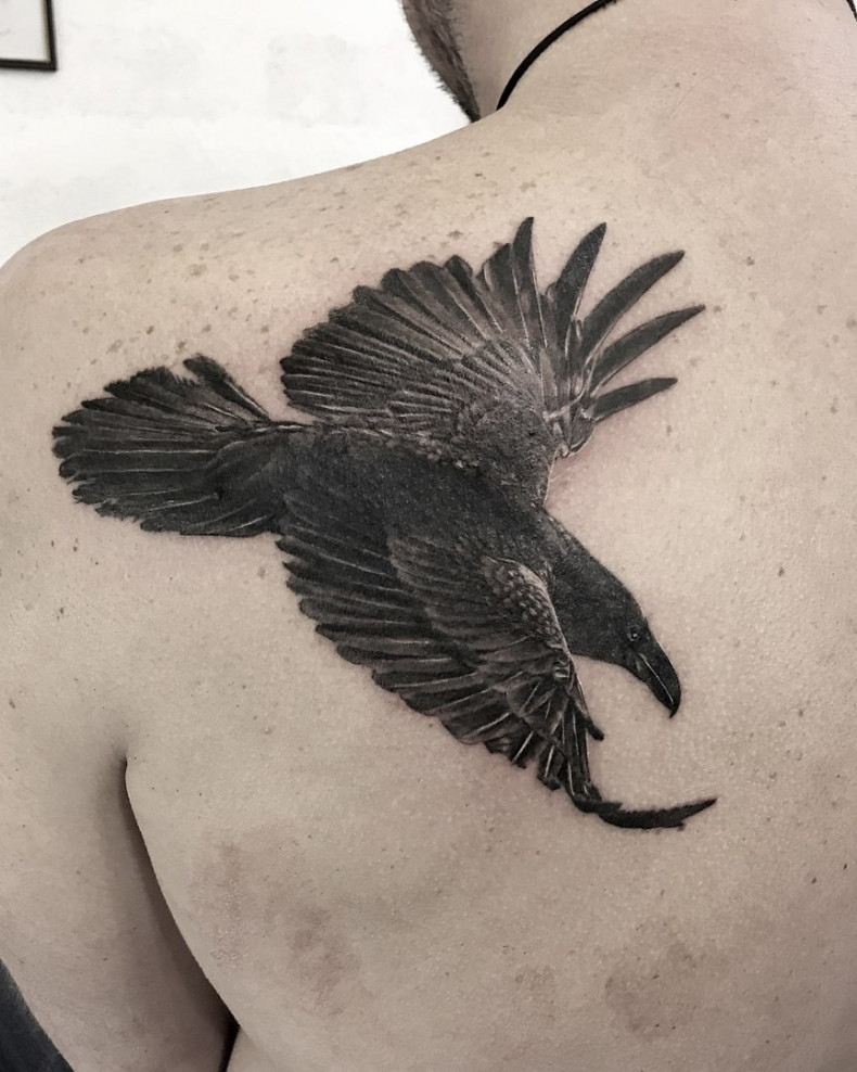 Men black and grey shoulder blade, photo - Tattoo Master Barb Tattoo