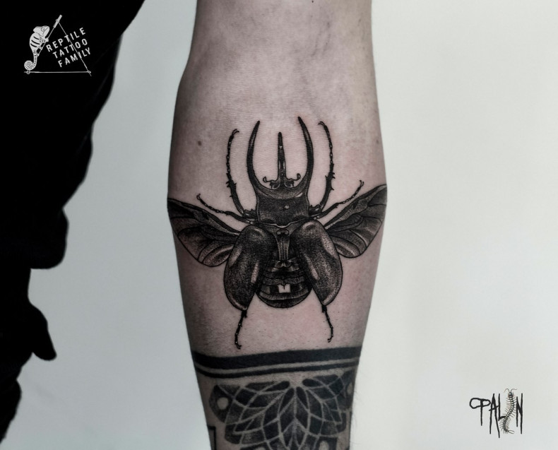 Men whip shading beetle, photo - Tattoo Master Barb Tattoo