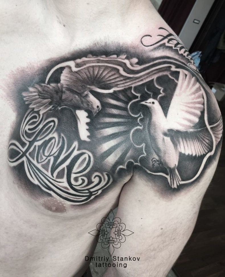 Men black and grey pigeon, photo - Tattoo Master Barb Tattoo