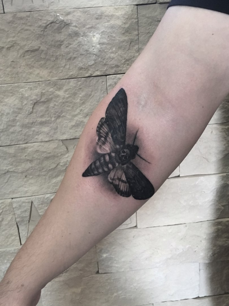 Męski whip shading ćma, photo - Tatuażysta Barb Tattoo