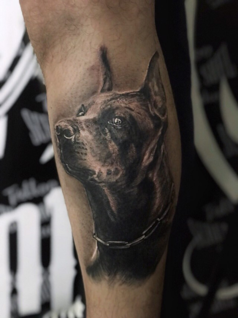 Męski doberman na nodze, photo - Tatuażysta Barb Tattoo