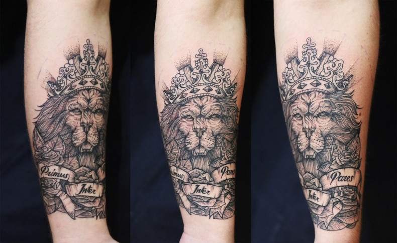 Men lion forearm, photo - Tattoo Master Barb Tattoo