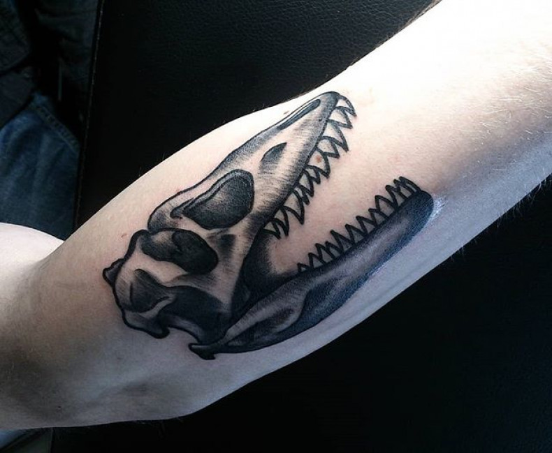 Męski na ramieniu whip shading, photo - Tatuażysta Barb Tattoo