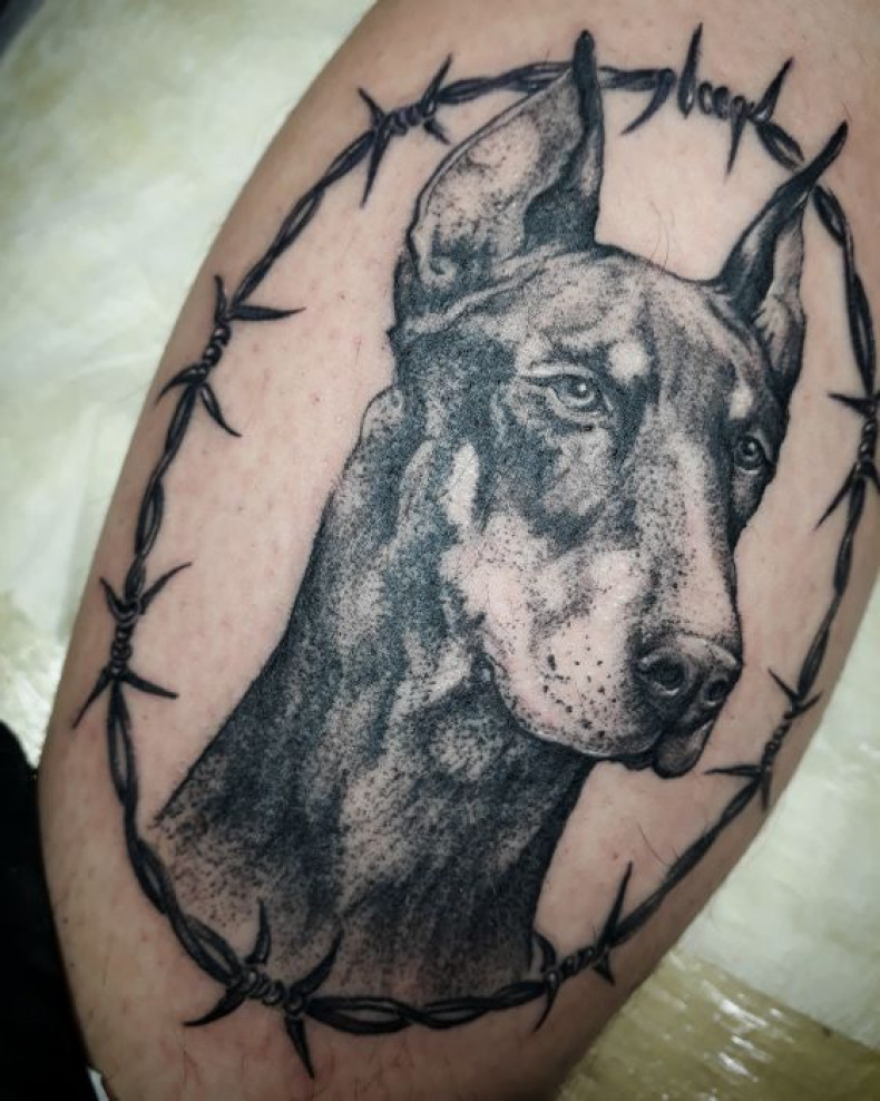 Męski doberman na udzie, photo - Tatuażysta Barb Tattoo