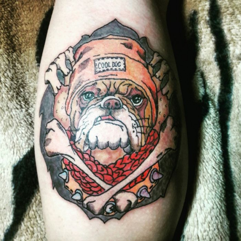 Men bulldog leg, photo - Tattoo Master Barb Tattoo