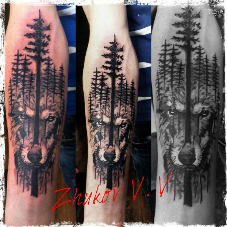 Men wolf arm, photo - Tattoo Master Barb Tattoo