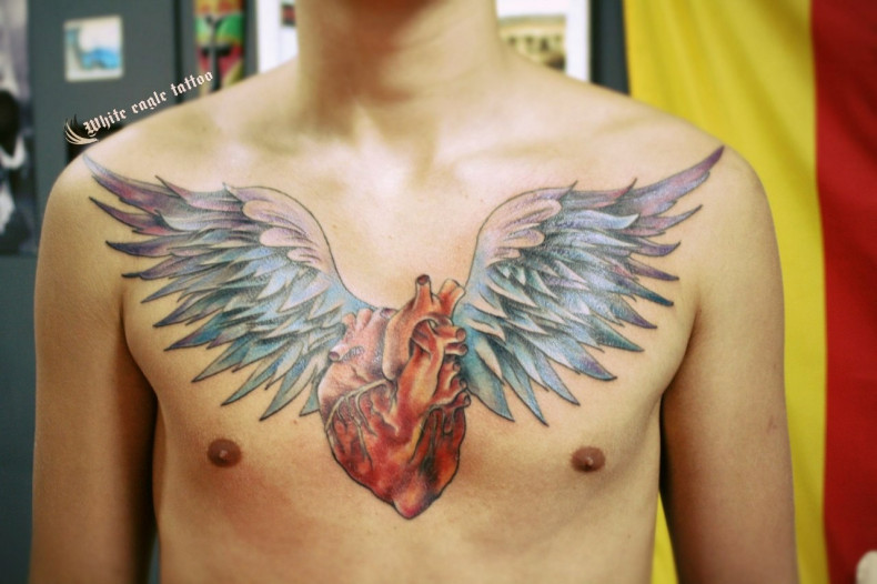 Men watercolor wings, photo - Tattoo Master Barb Tattoo