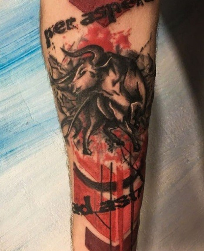 Men arm bull, photo - Tattoo Master Barb Tattoo