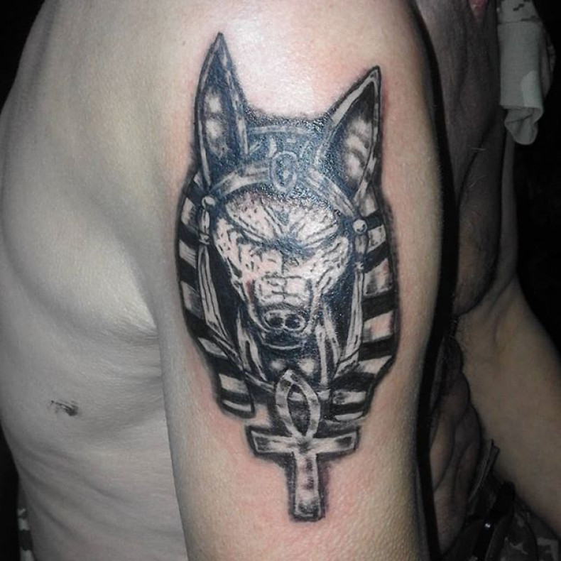 Męski anubis whip shading, photo - Tatuażysta Barb Tattoo