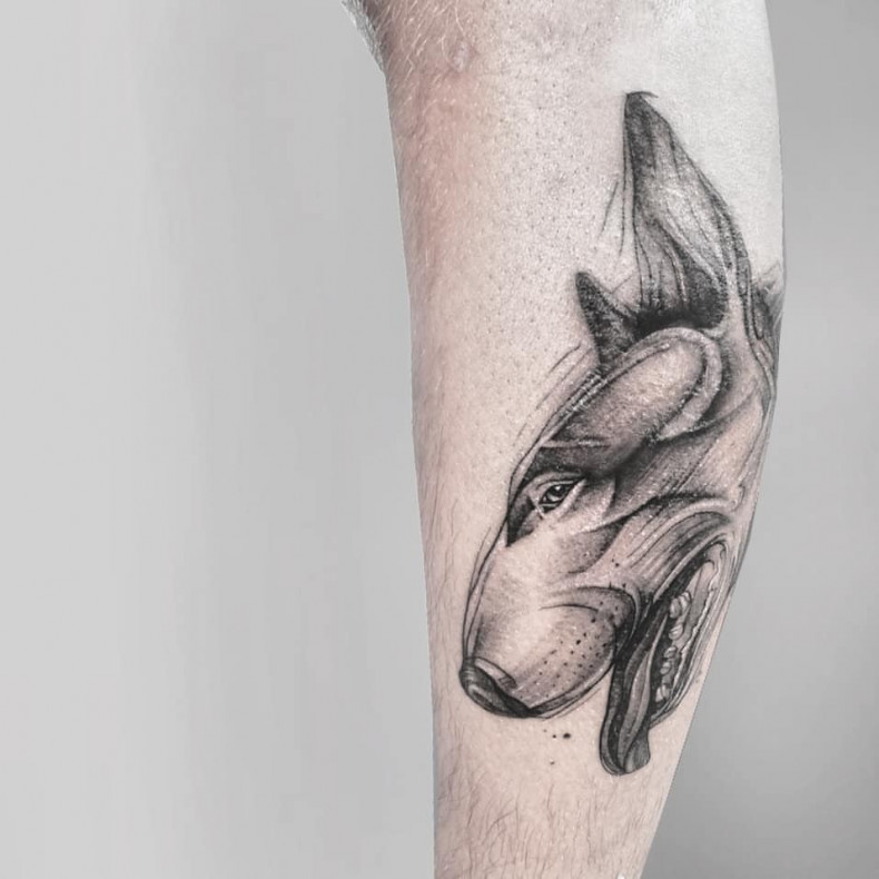 Męski bulterier whip shading, photo - Tatuażysta Barb Tattoo