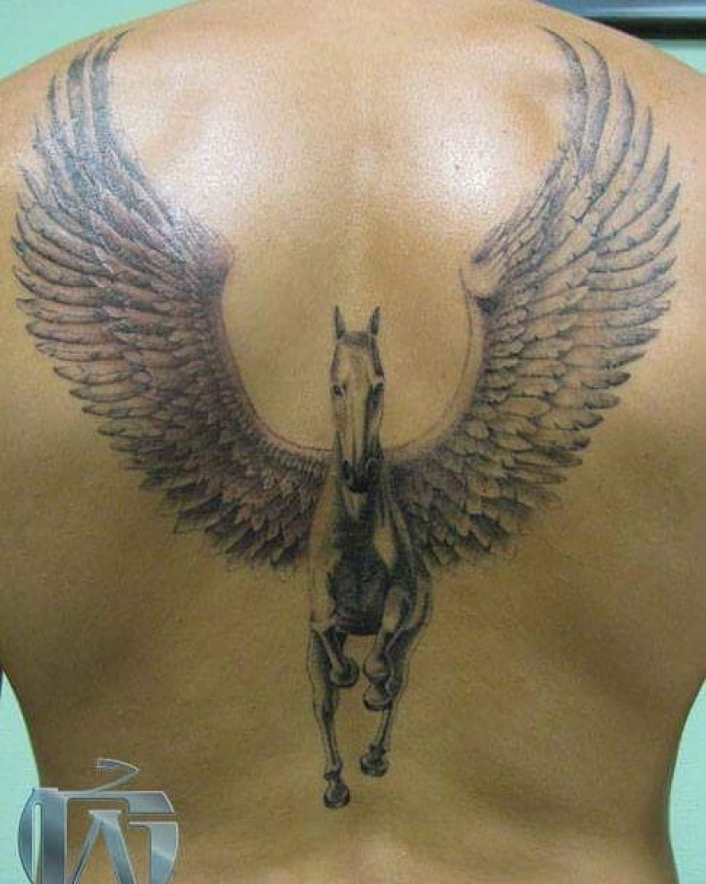 Men black and grey wings, photo - Tattoo Master Barb Tattoo