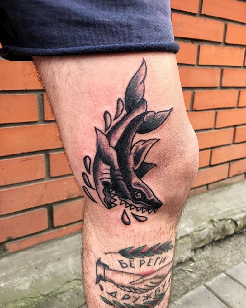 Męski rekin na kolanie, photo - Tatuażysta Barb Tattoo