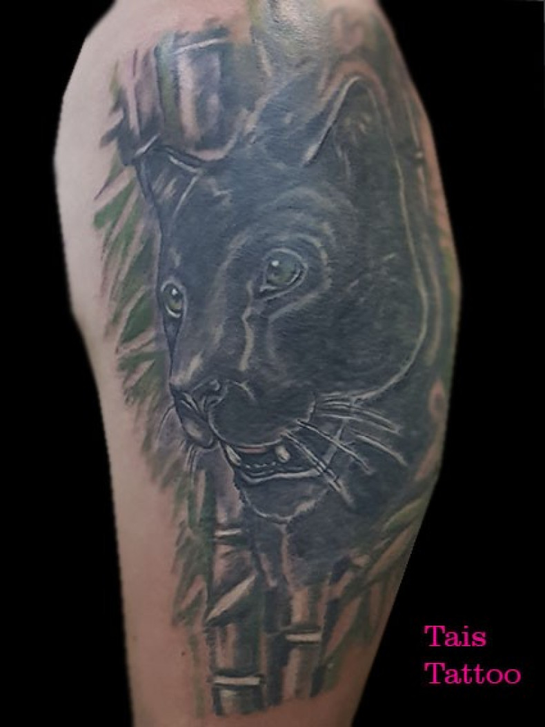 Men shoulder panther, photo - Tattoo Master Barb Tattoo