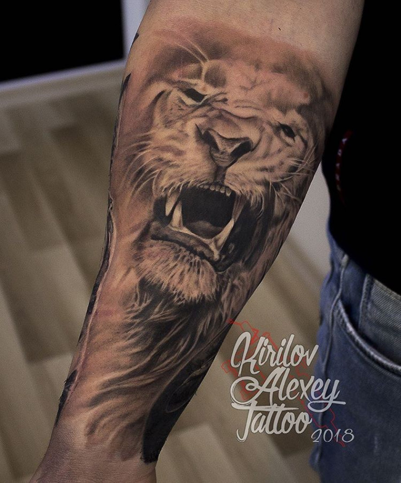 Men arm lion, photo - Tattoo Master Barb Tattoo