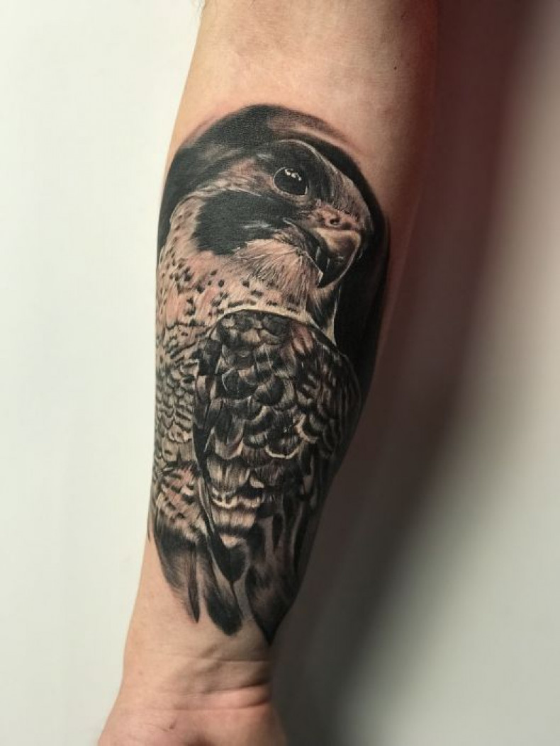 Men forearm realism, photo - Tattoo Master Barb Tattoo