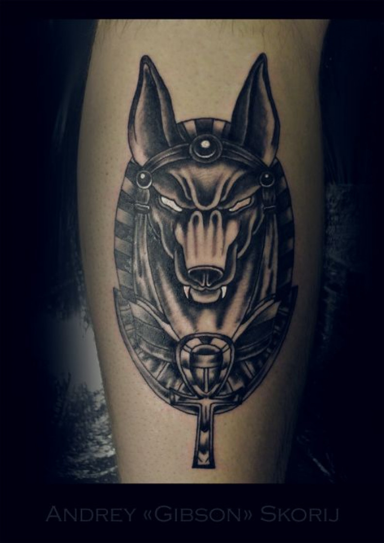 Męski anubis blackwork, photo - Tatuażysta Barb Tattoo